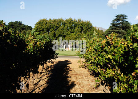 Nederburg Wine Estate, Paarl, Westkap, Südafrika Stockfoto