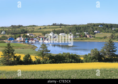 Sommerlandschaft mit Rapsfelder und Angelsteg mit Booten in zentralen Prince Edward Island, Canada Stockfoto