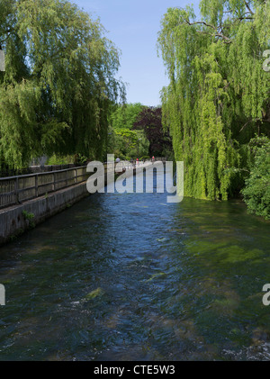 dh River Itchen WINCHESTER HAMPSHIRE Menschen am Flussufer Fußweg Weinende Weidenbaum Flussufer england großbritannien Stockfoto