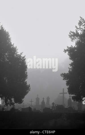 Unheimliche Silhouette Grabsteinen, grausige Gräber und gruselige Kreuze auf grausige Friedhof mit Bäumen im Nebel Nebel Atmosphäre