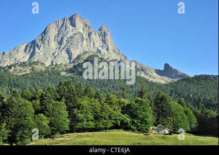 Kiefernwald und dem Pic du Midi d'Ossau (2884 m), ein Berg in den Pyrénées-Atlantiques, Pyrenäen, Frankreich Stockfoto