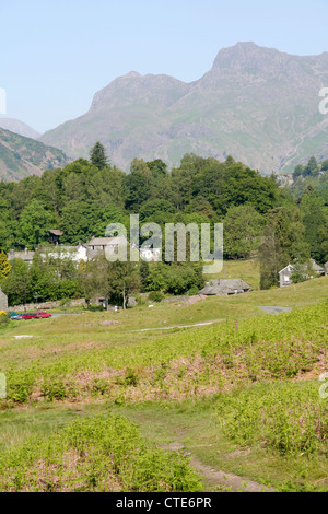 Langdale Pikes aus Elterwater gemeinsamen Lake Distrikt Cumbria England UK Stockfoto