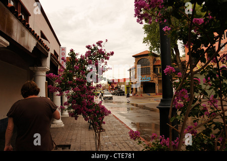 Geschäft ist langsam entlang Calle Obregon in Nogales, Sonora, Mexiko, über die Grenze von Nogales, Arizona, USA. Stockfoto