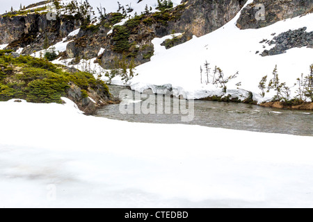 White Pass und Yukon Route (WP&YR) Eisenbahnzug Fahrt von Skagway, Alaska nach Fraser, British Columbia. Blick auf White Pass Summit. Stockfoto