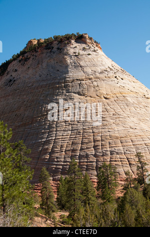 USA-Utah, Checkerboard Mesa im Zion National Park. Stockfoto