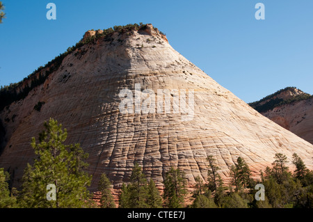 USA-Utah, Checkerboard Mesa im Zion National Park. Stockfoto