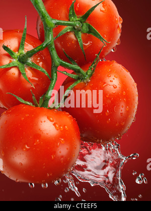 Frische saftige appetitliche Tomaten auf den Wein mit Wasser bespritzt Stockfoto