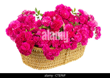 Wattled großen Korb mit riesigen Blumenstrauß rosa Rosen. Isoliert, selektiven Fokus Stockfoto