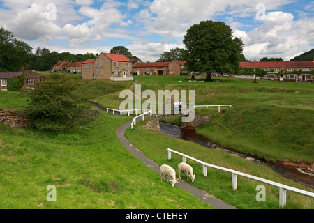 Hutton-le-Hole Dorf grün und Beck, North Yorkshire, North York Moors National Park, England, UK. Stockfoto