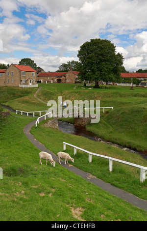 Hutton-le-Hole Dorf grün und Beck, North Yorkshire, North York Moors National Park, England, UK. Stockfoto