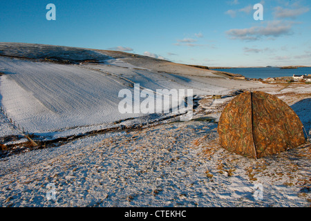 Jack Snipe Lymnocryptes Zip verstecken Fotografie Shetland Schottland, Vereinigtes Königreich Stockfoto