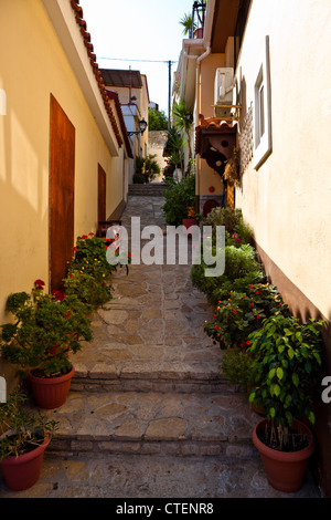 Pflanzen säumen eine Reihe von Schritten in das alte Dorf Ano Vathi, Samos, Griechenland Stockfoto