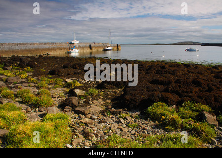 Pier und Boote im Hafen; Ballyvaughan, County Clare, Irland Stockfoto