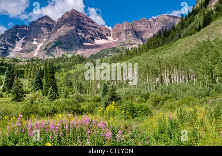 Die Maroon Bells im Sommer, in der Nähe von Aspen, Colorado Stockfoto