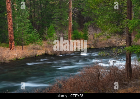 USA, Oregon, Deschutes County, Blick auf den Fluss Stockfoto