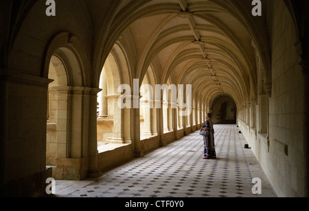 Abtei von Fontevraud, Loire, Frankreich. Juli 2012 enthält Gräber von 15 Mitgliedern der Familie Plantagenet, einschließlich: Heinrich II. von England Stockfoto