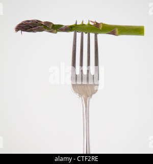 Spargel auf Gabel, Studio gedreht Stockfoto