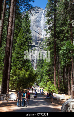 Yosemite Fälle, Yosemite-Nationalpark, Kalifornien, USA Stockfoto