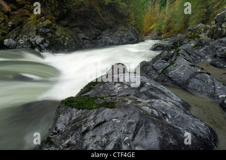 Der South Fork des Stillaguamish Fluss fließt durch Robe Canyon, Washington, USA Stockfoto