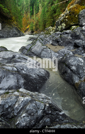 Der South Fork des Stillaguamish Fluss fließt durch Robe Canyon, Washington, USA Stockfoto