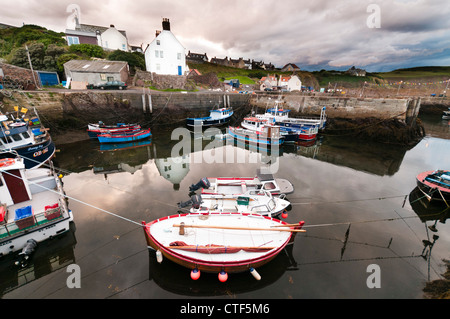 St. Abbs an der Ostküste Schottlands Stockfoto