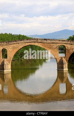 Spanien, Navarra, Estella, Puente la Reina, Fluss Arga, Stockfoto