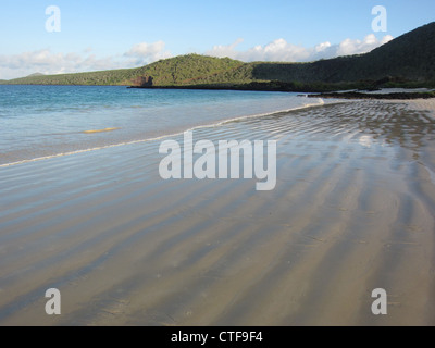 Punta Cormorant Strand, Floreana Insel der Galapagos-Inseln, Ecuador Stockfoto