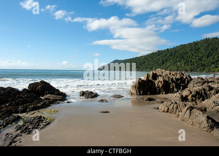 Etty Strand in der Nähe von Innisfail auf die Cassowary Coast in Queensland ist bekannt für das Auffinden dieser seltenen Vögel. Stockfoto