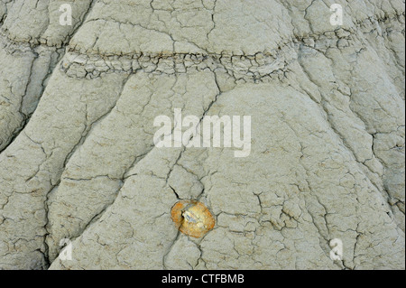 Bentonit-Details, mit Erosion Muster Theodore-Roosevelt-Nationalpark, North Dakota, USA Stockfoto