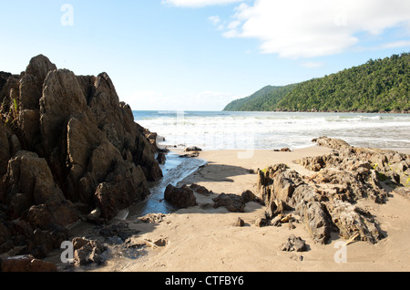 Etty Strand in der Nähe von Innisfail auf die Cassowary Coast in Queensland ist bekannt für das Auffinden dieser seltenen Vögel. Stockfoto