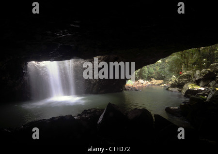 Natural Bridge, Springbrook National Park, Gondwana World Heritage Area, Queensland, Australien. Keine PR Stockfoto