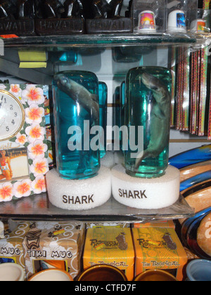 Baby-Haie erhalten in Alkohol zum Verkauf im Shop als Souvenirs, Waikiki, Honolulu, USA Stockfoto