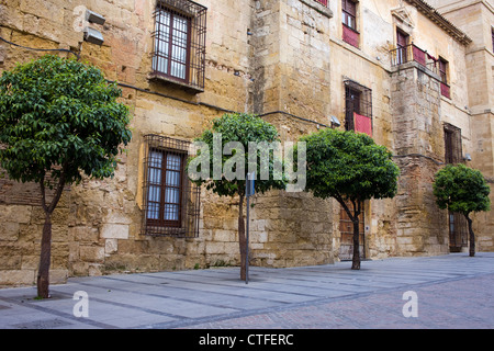 15. Jahrhundert Bischofspalast (Spanisch: Palacio Episcopal) historische Fassade in der Calle de Torrijos Street in Córdoba, Spanien. Stockfoto