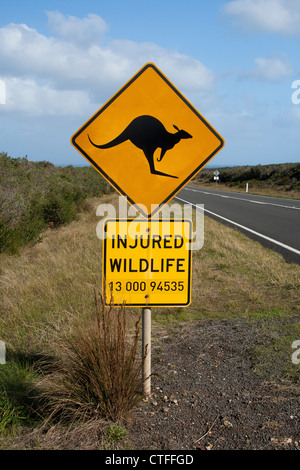 Känguru-Warnschild in Australien. Stockfoto