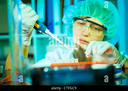 Forscher nutzt eine Pipette, um eine Kultur der menschlichen Zellen mit einem Virus zu infizieren. Stockfoto