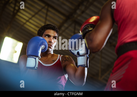 Sport und Menschen, zwei Männer trainieren und kämpfen im Box-gym Stockfoto