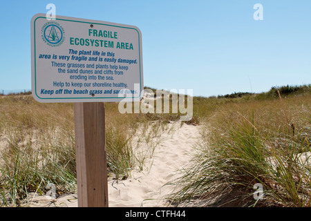 Halten Sie den Strandhafer und Sanddünen Zeichen - Cape Cod Massachusetts, USA Stockfoto