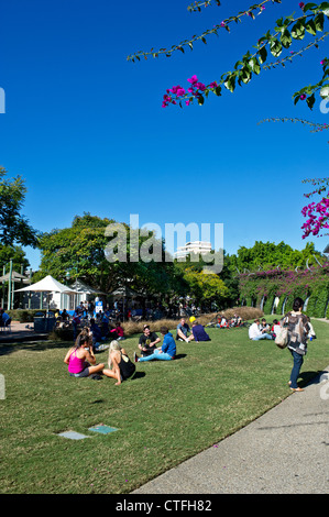 Menschen entspannen in der Sonne auf der South Bank, Brisbane in Queensland in Australien. Stockfoto