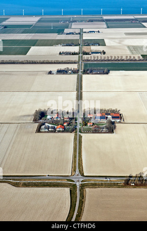 Die Niederlande, Ens, Farmen und Ackerland in Flevopolder. Antenne. Stockfoto