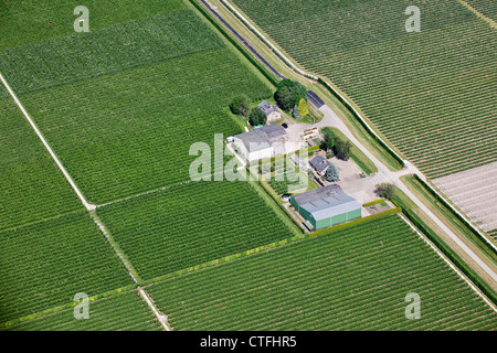 Die Niederlande, Nagele, Farmen und Ackerland in Flevopolder. Antenne. Stockfoto