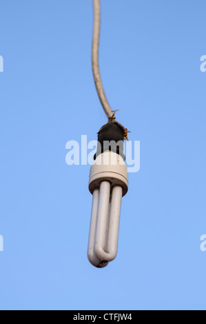 Ungedeckte Niedrigenergie-Glühbirne vor einem blauen Himmel draußen hängen Stockfoto