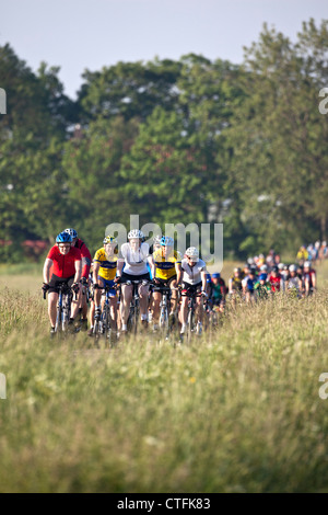 Den Niederlanden, Arum, in der Nähe von Bolsward. Elf Städte Fahrradtour (Niederländisch: Elfsteden Fietstocht). Stockfoto