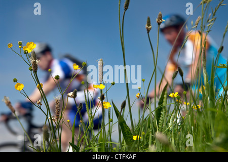 Die Niederlande, Hindeloopen. Elf Städte Fahrradtour (Niederländisch: Elfsteden Fietstocht). Stockfoto