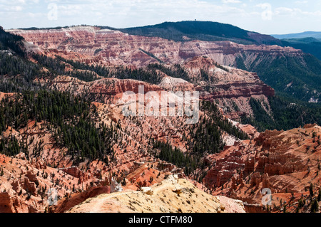 Cedar Breaks National Monument in Utah. Stockfoto