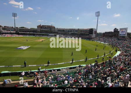 Zuschauer bei England gegen Südafrika. 2. Test 2012. Die Oval Cricket ground, Kennington, London, UK Stockfoto