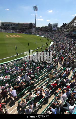 Zuschauer bei England gegen Südafrika. 2. Test 2012. Die Oval Cricket ground, Kennington, London, UK Stockfoto