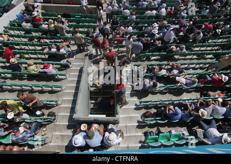 Zuschauer bei England gegen Südafrika. 2. Test 2012. Die Oval Cricket ground, Kennington, London, UK Stockfoto