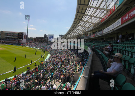 Zuschauer bei England gegen Südafrika. 2. Test 2012. Die Oval Cricket ground, Kennington, London, UK Stockfoto