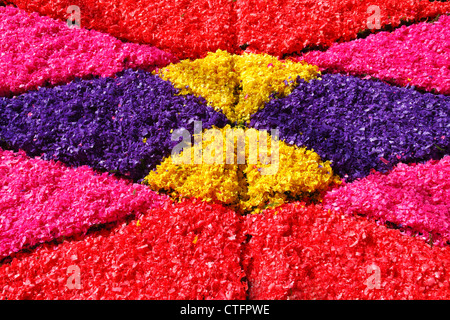 Blumenteppiche aus künstlich gefärbt Holzspänen hergestellt. Azoren, Portugal Stockfoto