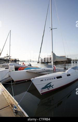 St. Augustine Ökotouren Katamaran angedockt an der St. Augustine Municipal Marina mit dem Restaurant Santa Maria im Hintergrund Stockfoto